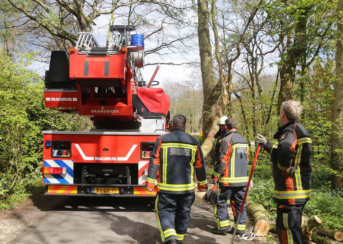 Grote tak breekt af Westeinde Noordwijkerhout